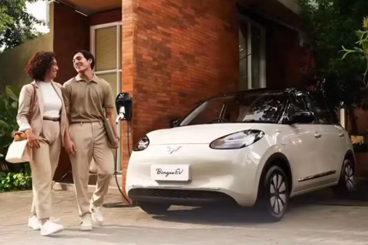 Sau một lần sạc đầy pin, phiên bản Long Range có thể chạy được 333 km trong khi con số tương ứng của bản Premium Range là 410 km. Cả hai loại pin này đều đạt tiêu chuẩn chống nước, chống bụi IP 67.