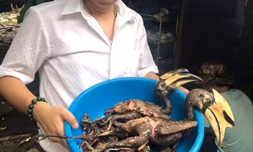 Xac minh thong tin giam doc doanh nghiep 