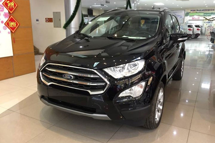EcoSport là một trong những mẫu xe thành công nhất của Ford Việt Nam trong năm 2018 với 4.844 chiếc được bán ra, trung bình mỗi tháng tiêu thụ được 403 chiếc, tăng 22% so với năm 2017. Kể từ thời điểm mới ra mắt vào năm 2014, đã có 20.000 chiếc EcoSport được tiêu thụ tại Việt Nam