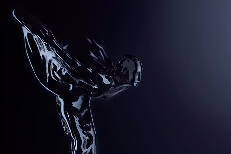 "Việc kết hợp sự hiện đại và sang trọng của Rolls-Royce là hoàn hảo với dòng thời trang mới của Versace. Năm 2016 là một năm thành công tuyệt vời của London và việc hợp tác với Donatella hứa hẹn một khởi đầu tốt đẹp cho năm bước ngoặt 2017”. Ông Claus Andersen cho biết thêm.