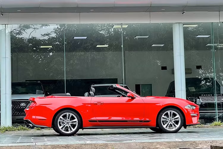 Về thiết kế, Ford Mustang 2021 bản Convertible gây ấn tượng với diện mạo hầm hố với phần líp đen mở rộng ở cản trước, nẹp sườn thể thao, bộ khuếch tán gió lớn phía sau tích hợp hệ thống cặp ống xả kép và cánh gió nhỏ trên nắp cốp.