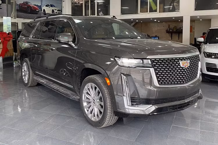 Phân khúc SUV hạng sang cỡ lớn đang có sự xuất hiện của những mẫu xe như Chevrolet Tahoe, GMCYukon, Lincoln Navigator và Cadillac Escalade 2021 đời mới. Trong số này, hai mẫu xe liệt kê cuối cùng được giới nhà giàu Việt săn đón nhiều nhất ở trải nghiệm lái, thiết kế đẹp cũng như giá thành tốt so với những gì xe mang lại.
