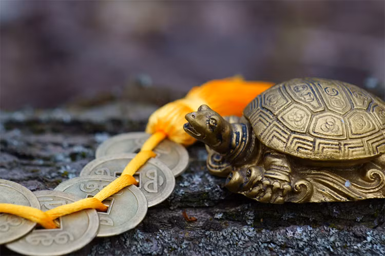 Nhung mon do nen mua dau nam moi de “ruoc” tai loc ve nha