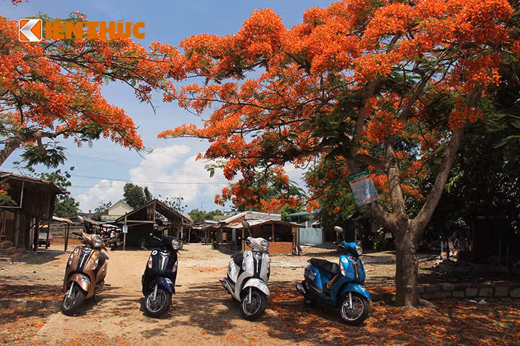 Được khám phá mảnh đất Nam Trung Bộ với những cung đường tuyệt đẹp luôn là điều thú vị và mơ ước của nhiều bikers.