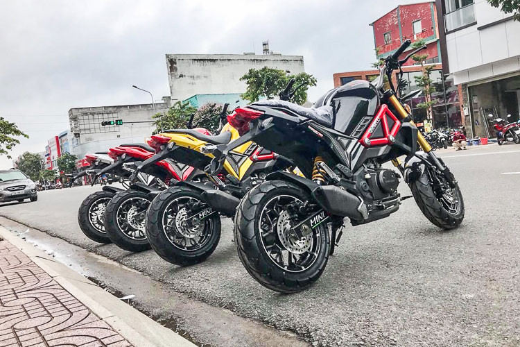 Ngoài Hunter 110, còn có chiếc xe khác mang tên Monster 110 sở hữu kiểu dáng "nhái" dòng naked-bike nổi tiếng của hãng Ducati. Mẫu xe "hàng nhái" này được dân chơi gọi chung với cái tên là "Ducati Monster 110", tuy nhiên chính điều này đã gây nhầm lẫn lớn cho giới chơi xe.