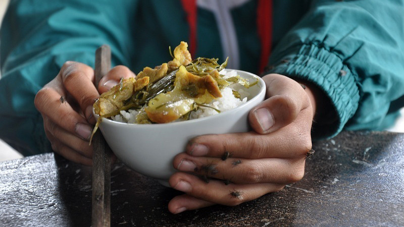 Bát cơm bị ruồi bâu kín của một học sinh sống gần bãi rác