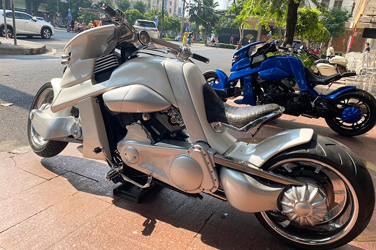 Dựa trên cơ sở V-Rod nên V-Rex cũng được trang bị khối động cơ V-Twin 1250 cc với công suất tối đa hơn 120 mã lực, làm mát bằng dung dịch và kèm theo hộp số 5 cấp. Tuy nhiên, điểm đặc biệt của siêu môtô này lại nằm ở thiết kế. Trong đó, chi tiết độc đáo nhất là cơ cấu lái gián tiếp mà rất ít nhà sản xuất sử dụng trên môtô sản xuất hàng loạt.