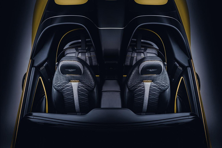 Bảng táp-lô của xe được ốp gỗ dương 5.000 tuổi, đây là loại vật liệu tái chế được tạo nên từ thân các cây chết tự nhiên, mỗi chiếc ghế của xe có đến 148.199 mũi thêu nhằm tạo nên hình dạng đặc biệt. Đồng hổ chỉ giờ được bố trí chính giữa cửa gió điều hòa của bảng điều khiển trung tâm.