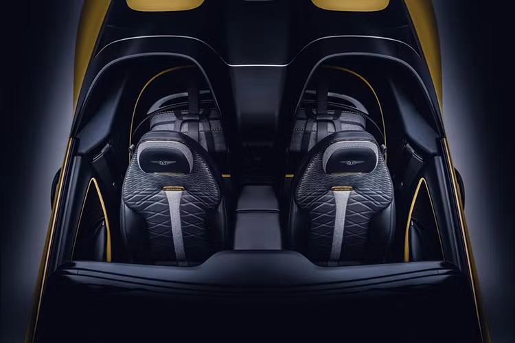 Bảng táp-lô của xe được ốp gỗ dương 5.000 tuổi, đây là loại vật liệu tái chế được tạo nên từ thân các cây chết tự nhiên, mỗi chiếc ghế của xe có đến 148.199 mũi thêu nhằm tạo nên hình dạng đặc biệt. Đồng hổ chỉ giờ được bố trí chính giữa cửa gió điều hòa của bảng điều khiển trung tâm.