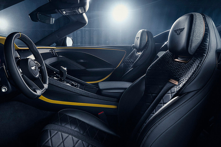 Bên cạnh đó là các chi tiết điểm nhấn được bọc da 2 tông màu, nẹp crôm hoặc ốp màu đen bóng và logo Bacalar đính ở vô lăng và lưng ghế. Khách hàng mua xe sẽ được tặng kèm bộ vali du lịch có màu sắc tương đồng với màu nội thất của xe.