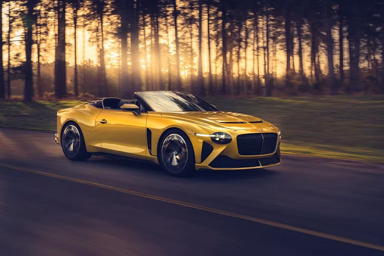 Được biết, sẽ chỉ có tổng cộng 12 chiếc Mulliner Bacalar được xuất xưởng trên toàn thế giới. Hiện tại toàn bộ 12 chiếc đã đều có chủ dù chưa chính thức được sản xuất. Mức giá xe Bentley Mulliner Bacalar hiện chưa được công bố.