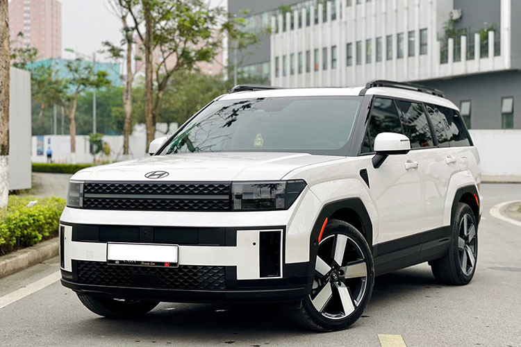 Mới đây, trên sàn xe cũ Hà Nội rao bán một chiếc Hyundai SantaFe 2024 bản Prestige có ODO 12.000 km với giá 1,2 tỷ đồng. Ở thời điểm mua mới, chiếc xe có giá niêm yết 1,265 tỷ, chi phí lăn bánh rơi 1,4 tỷ đồng chưa kể mức "lạc" cao ở thời điểm xe mới ra mắt.