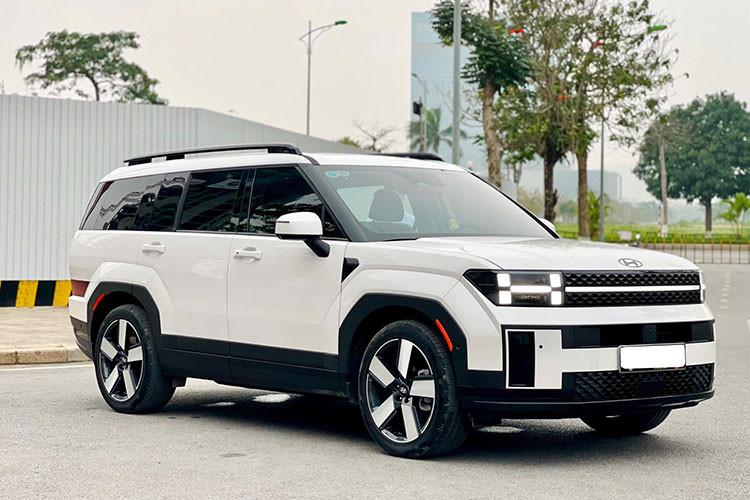 Với mức giá xe Hyundai SantaFe 2024 chạy lướt bán 1,2 tỷ đồng sau quãng đường lăn bánh 12.000 km, nó được xem là lựa chọn đáng cân nhắc cho những ai muốn sở hữu một mẫu SUV hiện đại, tiết kiệm chi phí so với xe mới nhưng vẫn đảm bảo chất lượng và trải nghiệm cao cấp. 