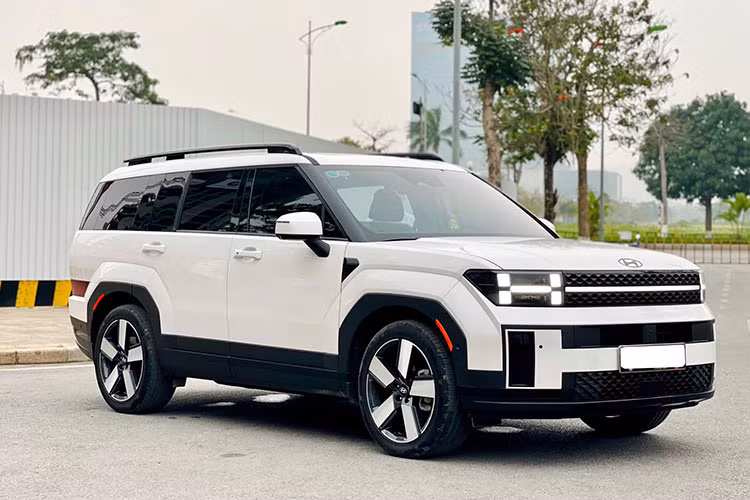 Với mức giá xe Hyundai SantaFe 2024 chạy lướt bán 1,2 tỷ đồng sau quãng đường lăn bánh 12.000 km, nó được xem là lựa chọn đáng cân nhắc cho những ai muốn sở hữu một mẫu SUV hiện đại, tiết kiệm chi phí so với xe mới nhưng vẫn đảm bảo chất lượng và trải nghiệm cao cấp. 