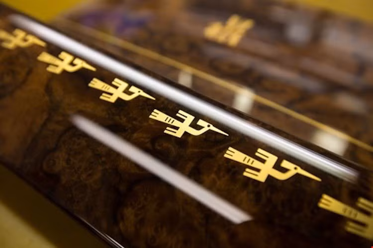 Ở mỗi tấm ốp cửa xe được sơn hình một đàn chim lạc gồm 9 con màu vàng, với 18 con tổng cộng mỗi cặp cửa trái và phải, tượng trưng cho 18 đời vua Hùng.