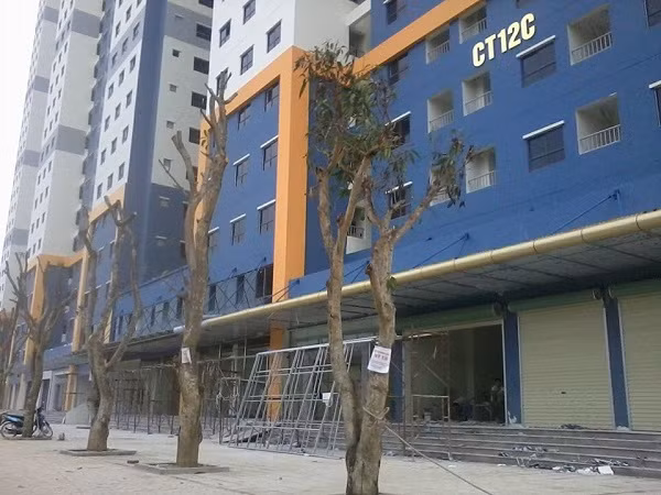 Hon 1.560 ty dong sai pham tai 38 du an BDS Ha Noi-Hinh-2