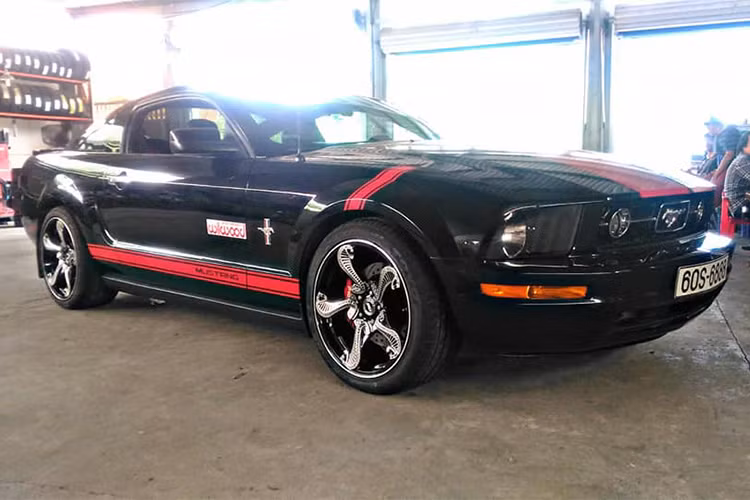 Ban đầu, bộ mâm "hổ mang chúa hàng độc" được chủ xe trang bị trên chiếc Ford Mustang thế hệ thứ 5 và sau đó, đã được một người yêu xe tháo ra và gắn lên cho chiếc Ford Mustang thế hệ thứ 6. 