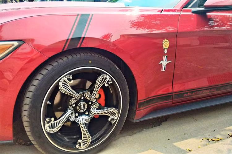 Biểu tượng dòng xe Ford Mustang Shebly chính là logo "hổ mang chúa" xuất hiện ở lưới tản nhiệt, bên hông và đuôi xe. Cũng chính vì thế mà người chơi xe Đồng Nai đã nảy ra ý định trang bị bộ la-zăng với điểm nhấn là hình ảnh 5 con "hổ mang chúa" được gắn lên 5 thanh cố định.