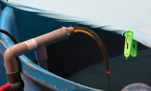 Hop bao ve nuoc mam: Vi sao lap lai mot sai lam?