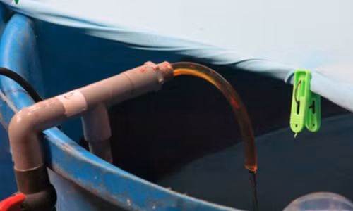 Hop bao ve nuoc mam: Vi sao lap lai mot sai lam?