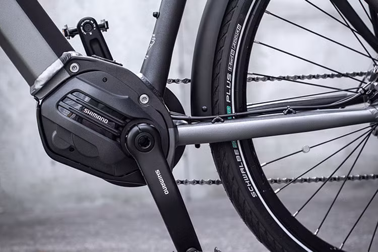 Hiện tại giá xe đạp điện Triumph Trekker GT được bán tại thị trường châu Âu ở mức 3.750 USD (tương đương khoảng 86,9 triệu đồng).