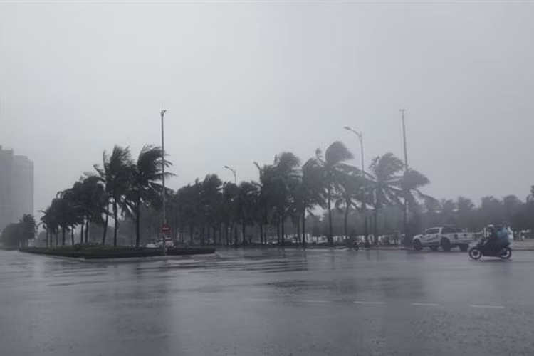 Chuyên gia nói gì về thông tin "Quảng Ninh đón bão lớn đầu tháng 5"? Chuyen gia noi gi ve thong tin