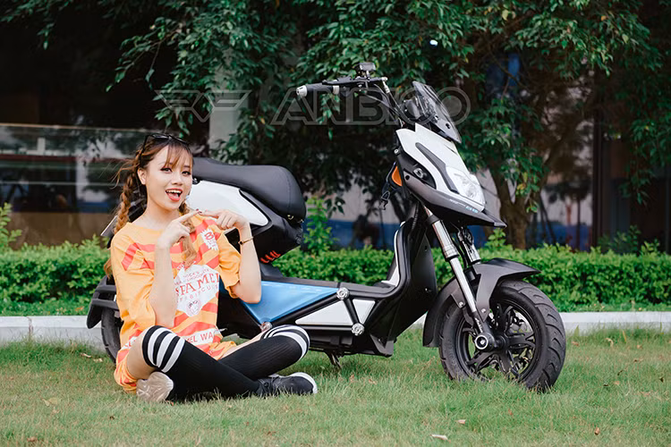 Cụm tay lái của Zoé cũng được thiết kế khá thú vị với hai bình dầu cho hai phanh đĩa trước sau được đặt nổi bật trên ghi đông xe. Gương xe góc cạnh tích hợp trang trí dạng đèn LED như trên gương chiếu hậu của những chiếc xe hơi hạng sang. Các phím bấm điều khiển được gia công tốt, bố trí hợp lý thuận tiện cho người sử dụng.