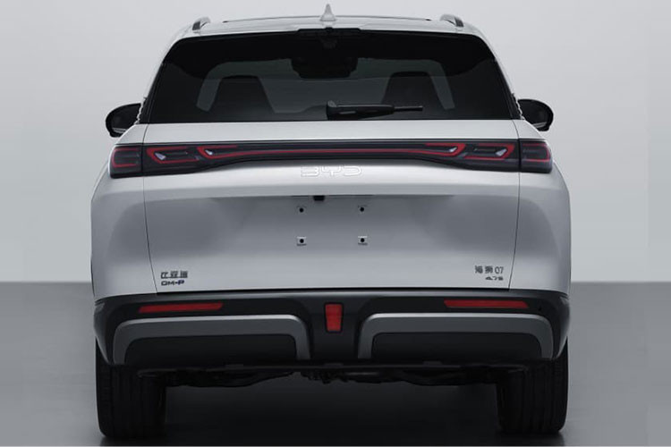 Ngoài ra, phiên bản cao cấp DM-p còn trang bị thêm một mô tơ điện thứ hai ở cầu sau, tạo ra hệ dẫn động bốn bánh toàn thời gian với tổng công suất 350 kW (~ 469 mã lực). Nhờ đó, xe tăng tốc từ 0–100km/h chỉ trong 4,7 giây, phạm vi thuần điện ở mức 135km.