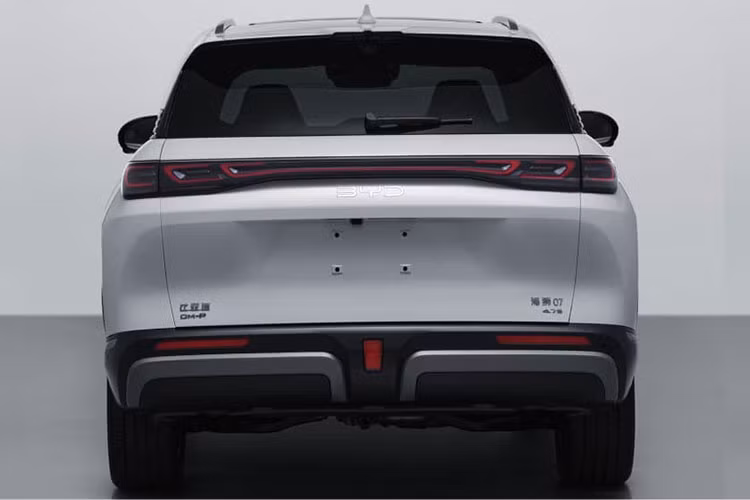 Ngoài ra, phiên bản cao cấp DM-p còn trang bị thêm một mô tơ điện thứ hai ở cầu sau, tạo ra hệ dẫn động bốn bánh toàn thời gian với tổng công suất 350 kW (~ 469 mã lực). Nhờ đó, xe tăng tốc từ 0–100km/h chỉ trong 4,7 giây, phạm vi thuần điện ở mức 135km.