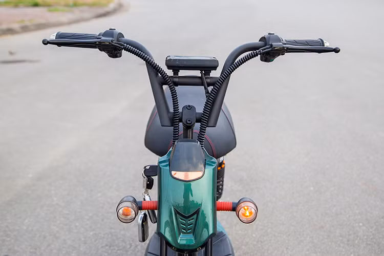 Nếu nhìn trực diện, chéo góc ¾ trước hoặc nhìn ngang thì chiếc AP1509 không khác gì kiểu dáng của một chú bọ ngựa đang gương đôi càng to chuẩn bị tiến lên phía trước. Thiết kế tay lái khá đơn giản với hình chữ V kéo dài ở hai đầu, dây phanh, dây ga và dây công tắc được bọc trong các ống ruột gà cùng màu khung xe khiến phần đầu xe trở nên cá tính hơn.