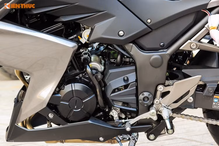 Được xây dựng dựa trên mẫu xe thể thao Ninja 300, sức mạnh của Kawasaki Z300 ABS 2017 cũng đến từ khối động cơ 2 xy-lanh song song, DOHC, với dung tích 296 phân khối, được làm mát bằng chất lỏng, sản sinh công suất đầu ra tối đa 39 mã lực tại 11.000 vòng/phút và mô-men xoắn cực đại là 27 Nm tại 10.000 vòng/phút kết hợp cùng hộp số 6 cấp độ.