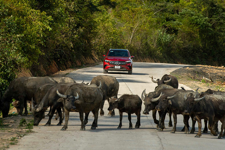 Trên những cung đường đèo dốc, hệ thống treo Mercedes GLC 200 loại AGILITY CONTROL có khả năng tự động điều chỉnh giảm xóc tuỳ theo chế độ lái hay tốc độ lái.