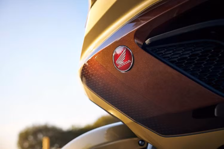 Tất cả các phiên bản của siêu môtô Honda Gold Wing 2025 đều có 4 chế độ lái: Tour (Đường trường), Sport (Thể thao), Econ (Thân thiện với môi trường) và Rain (Trời mưa), với hệ thống bướm ga, chống bó cứng phanh kết hợp và kiểm soát mô-men xoắn.