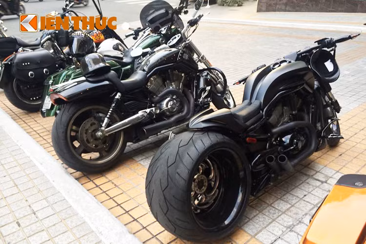 Harley-Davidson V-Rod Muscle được ra đời vào năm 2001, nó được xếp hạng trong phân khúc xe đua trên phố sử dụng động cơ V-Twin (VRSC). Động cơ Revolution trên V-rod là thành quả hợp tác giữa Harley-Davidson và Porsche. 