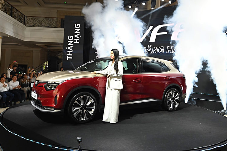 Mức giá xe Vinfast VF8 Lux 2024 có mức tương ứng là 1.170.000.000 đồng (thuê pin) và 1.380.000.000 đồng (kèm pin). Phiên bản VF 8 Lux Plus có giá tương ứng 1.359.000.000 đồng (thuê pin) và 1.569.000.000 đồng (kèm pin). Xe sẽ chính thức được mở bán trên toàn quốc từ 8h sáng ngày 16/7/2024./. 