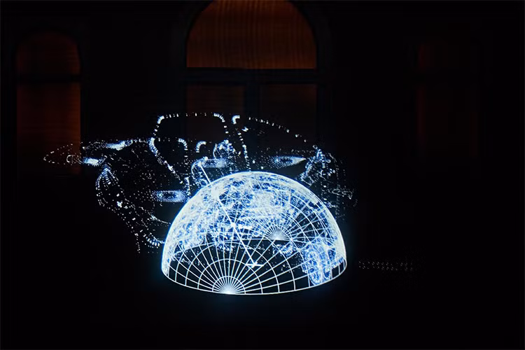 Tại triễn lãm này, Lexus đã mời kiến trúc sư người Nhật Bản, Sota Ichikawa thiết kế không gian tổng thể của sự kiện. Tại không gian trung tâm, Ichikawa đã sử dụng những cách tiếp cận sáng tạo nhằm thể hiện những trải nghiệm đỉnh cao của sự“LIMITLESS CO-EXISTENCE” hay là “Sự hòa hợp không giới hạn”của sự kiện.