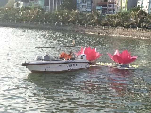 3 van hoa dang nhua tha xuong bien Cat Ba de 'bao ve moi truong'?-Hinh-4