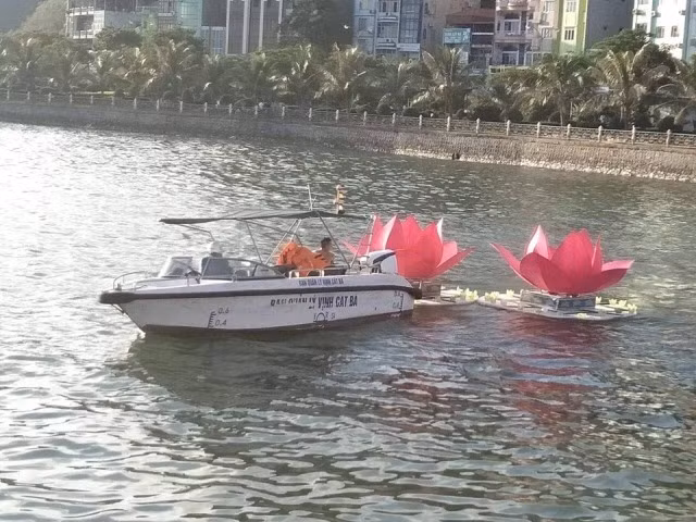 3 van hoa dang nhua tha xuong bien Cat Ba de 'bao ve moi truong'?-Hinh-4