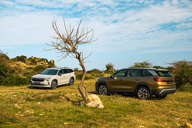 Phiên bản Premium có thiết kế sang trọng với các chi tiết chrome mờ và màu vàng Bronx Gold đặc trưng. Phiên bản Kodiaq Sportline sở hữu ngoại hình thể thao hơn với body kit cứng cáp và các chi tiết như logo, thanh giá nóc và cột D được sơn đen bóng tôn lên vẻ khỏe khoắn nam tính.