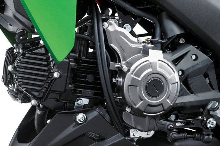 Kawasaki Z125 Pro 2019 vẫn tiếp tục sử dụng động cơ 125 phân khối, xy-lanh đơn, làm mát bằng gió, sản sinh công suất 9,5 mã lực tại 8.000 vòng/phút và mô-men xoắn cực đại 9,2 Nm từ 6.500 vòng/phút. Đi kèm với động cơ là hộp số 4 cấp và được tích hợp phun xăng điện tử.