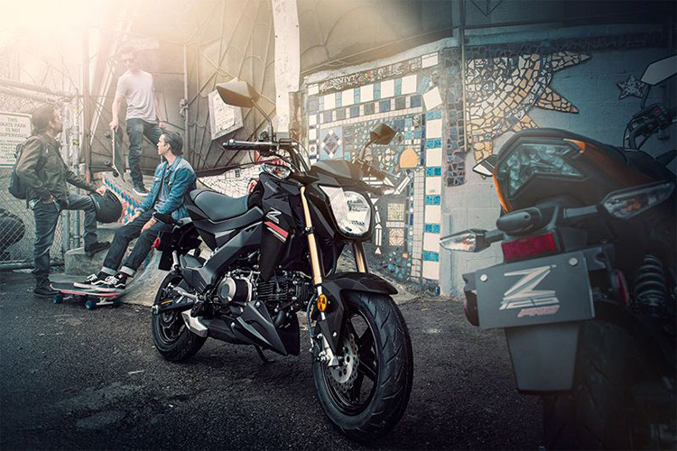 Giá xe Kawasaki Z125 Pro 2019 khởi điểm từ 3.100 USD. Tại Việt Nam, Z125 Pro bản hiện hành đang được bán với giá khoảng hơn 90 triệu - đắt gấp đôi so với mức giá niêm yết gần 50 triệu của đối thủ Honda MSX.