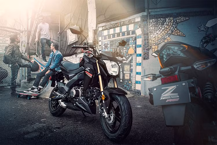 Giá xe Kawasaki Z125 Pro 2019 khởi điểm từ 3.100 USD. Tại Việt Nam, Z125 Pro bản hiện hành đang được bán với giá khoảng hơn 90 triệu - đắt gấp đôi so với mức giá niêm yết gần 50 triệu của đối thủ Honda MSX.