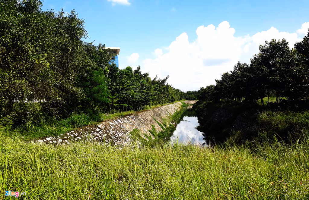 Cơ sở hạ tầng hoàn thiện nhưng sau một thời gian đầu tư nhiều khu vực như vỉa hè, giải phân cách các tuyến đường không có xe cộ qua lại, hệ thống kênh dẫn nước, hàng cây... trong thành phố mới cỏ mọc um tùm.