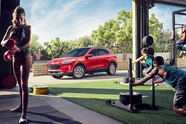 Dự kiến, Ford Escape hoàn toàn mới sẽ được bán trở lại tại Việt Nam với phiên bản mới nhất vào đầu năm 2020. Hiện nhiều đại lý trong nước đã bắt đầu nhận đơn hàng đặt cọc cho chiếc SUV cỡ trung này. Hiện chưa rõ Ford Escape khi được bán trở lại tại Việt Nam sẽ được nhập khẩu hay sẽ lắp ráp CKD tại Việt Nam.