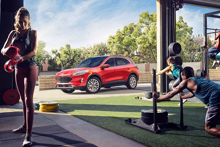 Dự kiến, Ford Escape hoàn toàn mới sẽ được bán trở lại tại Việt Nam với phiên bản mới nhất vào đầu năm 2020. Hiện nhiều đại lý trong nước đã bắt đầu nhận đơn hàng đặt cọc cho chiếc SUV cỡ trung này. Hiện chưa rõ Ford Escape khi được bán trở lại tại Việt Nam sẽ được nhập khẩu hay sẽ lắp ráp CKD tại Việt Nam.