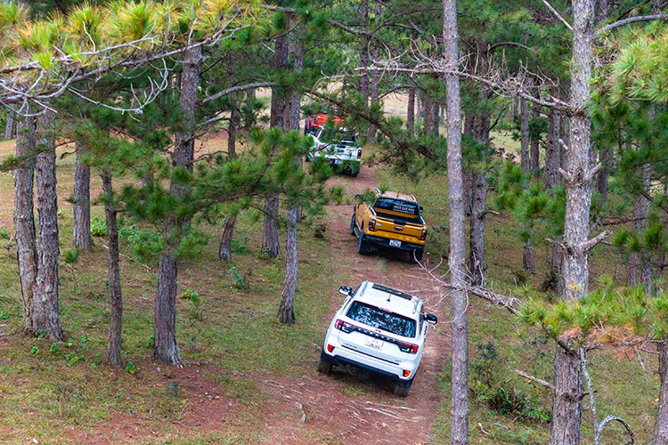 Ford Ranger va Everest but pha gioi han, truyen lua dam me-Hinh-3