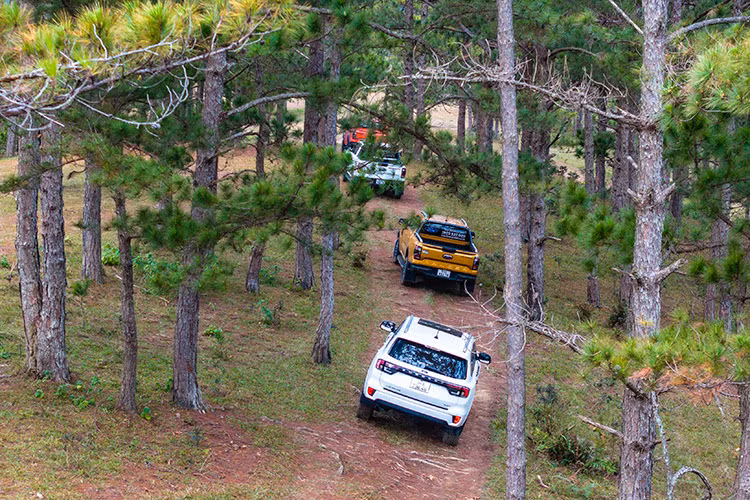 Ford Ranger va Everest but pha gioi han, truyen lua dam me-Hinh-3