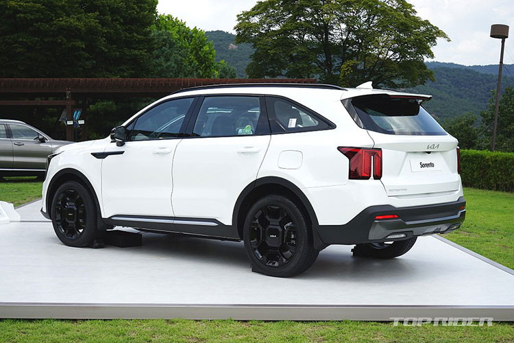 Cụ thể, trong tháng 9/2023, Kia Sorento đạt doanh số 10.190 xe trong khi con số tương ứng của Hyundai Grandeur đứng ở vị trí thứ hai toàn thị trường là 8.159 xe.