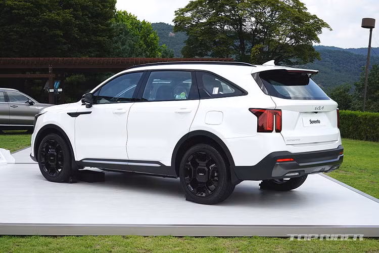 Cụ thể, trong tháng 9/2023, Kia Sorento đạt doanh số 10.190 xe trong khi con số tương ứng của Hyundai Grandeur đứng ở vị trí thứ hai toàn thị trường là 8.159 xe.