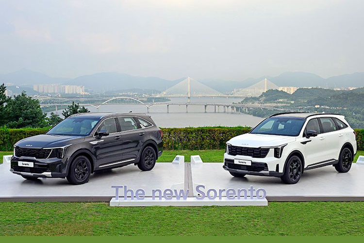 Vào tháng 8/2023, thời điểm mà cả Hyundai SantaFe thế hệ mới và Kia Sorento phiên bản nâng cấp giữa vòng đời đều ra mắt thị trường Hàn Quốc. Tuy chỉ là phiên bản nâng cấp với ít thay đổi hơn so với Hyundai SantaFe mới nhưng Kia Sorento 2024 mới vẫn nhanh chóng "hái quả ngọt" ở thị trường nội địa.